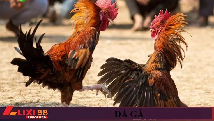 Cách tham gia nhanh chóng tại Lixi88