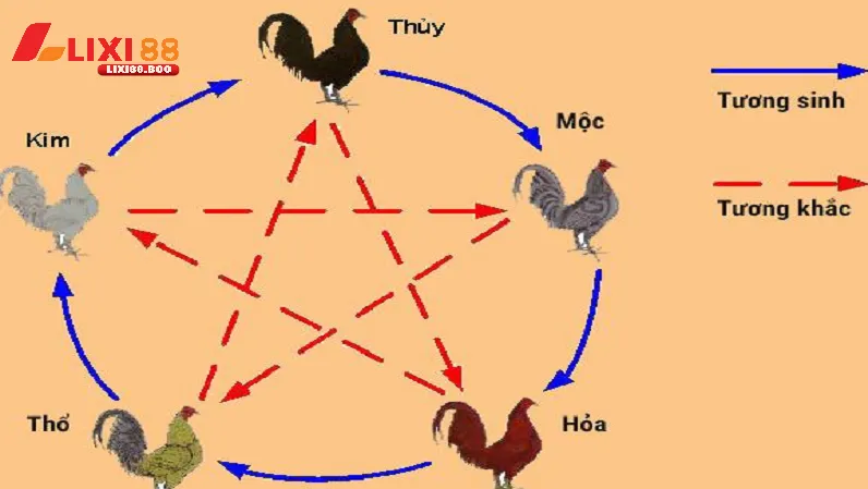 Cách xem mạng đá gà theo màu - Bí quyết không thể bỏ qua